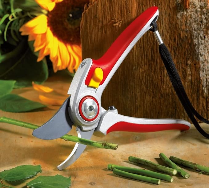 CESOIA WOLFGARDEN RR 500