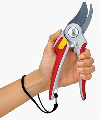 CESOIA WOLFGARDEN RR 500