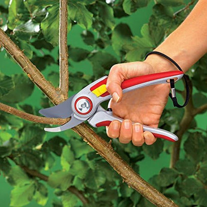 CESOIA WOLFGARDEN RR 500