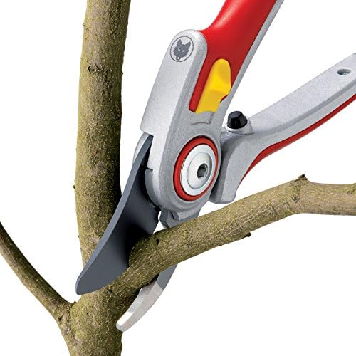 CESOIA WOLFGARDEN RR 500