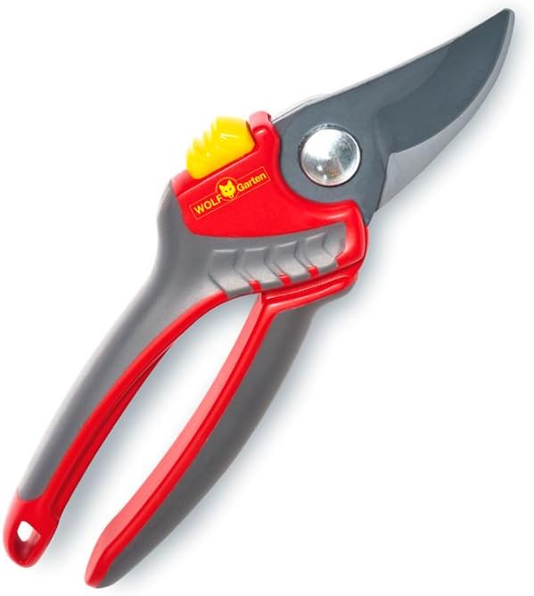 CESOIA WOLFGARDEN RR 4000