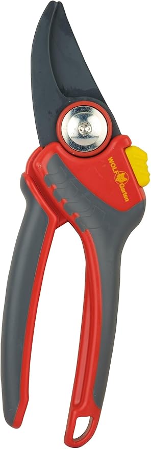 CESOIA WOLFGARDEN RR 4000