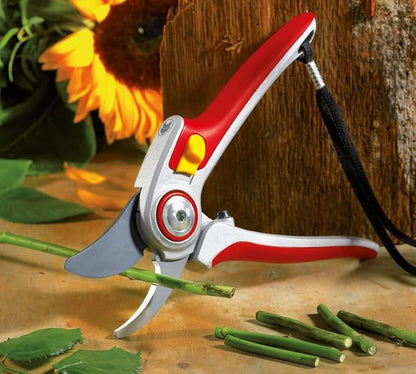 CESOIA WOLFGARDEN RR 500